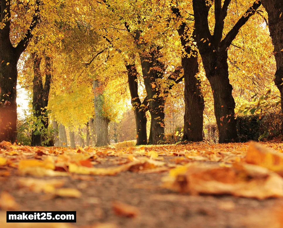 24절기 뜻, 영원회귀 뜻: 이 단어들이 뭘까요?