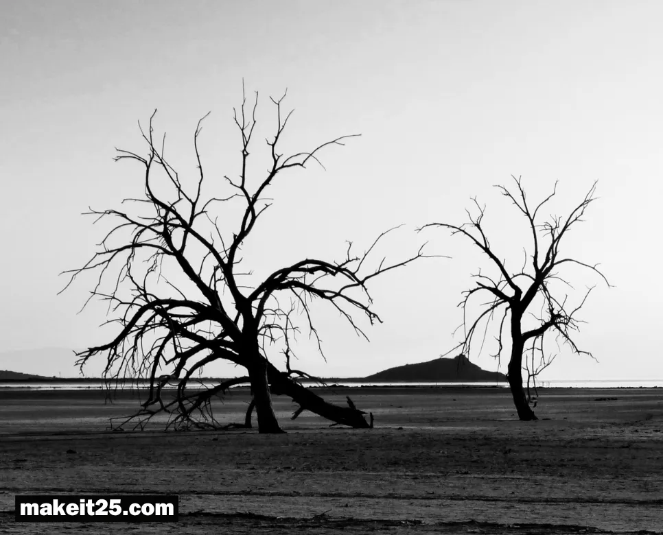 을씨년스럽다 뜻, 다온 뜻, 라온 뜻: 알고보면 쉬어요~