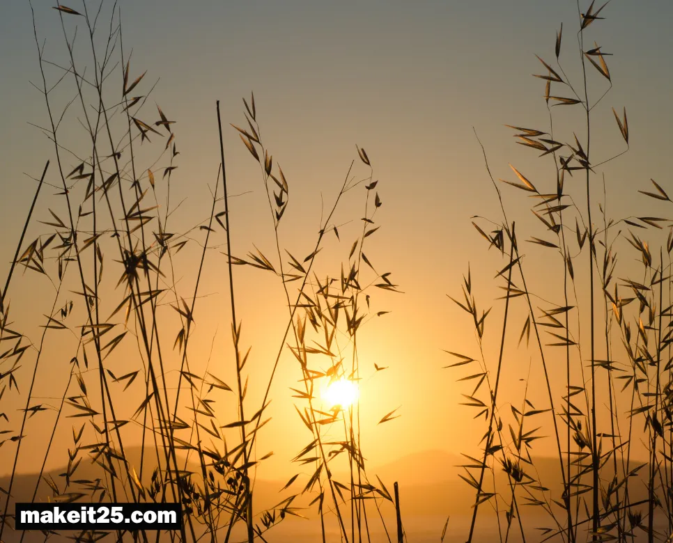 결초보은 뜻, 권선징악 뜻, 인지상정 뜻: 이것만 알면 끝!