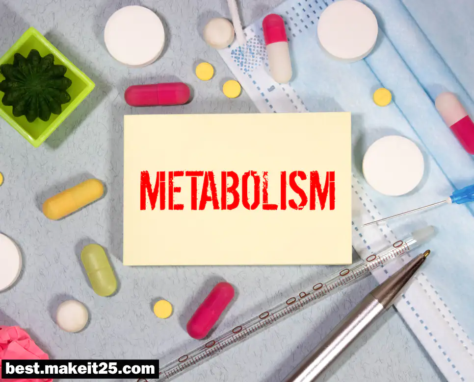 의학용어 BM, CTA, DOE, EMG