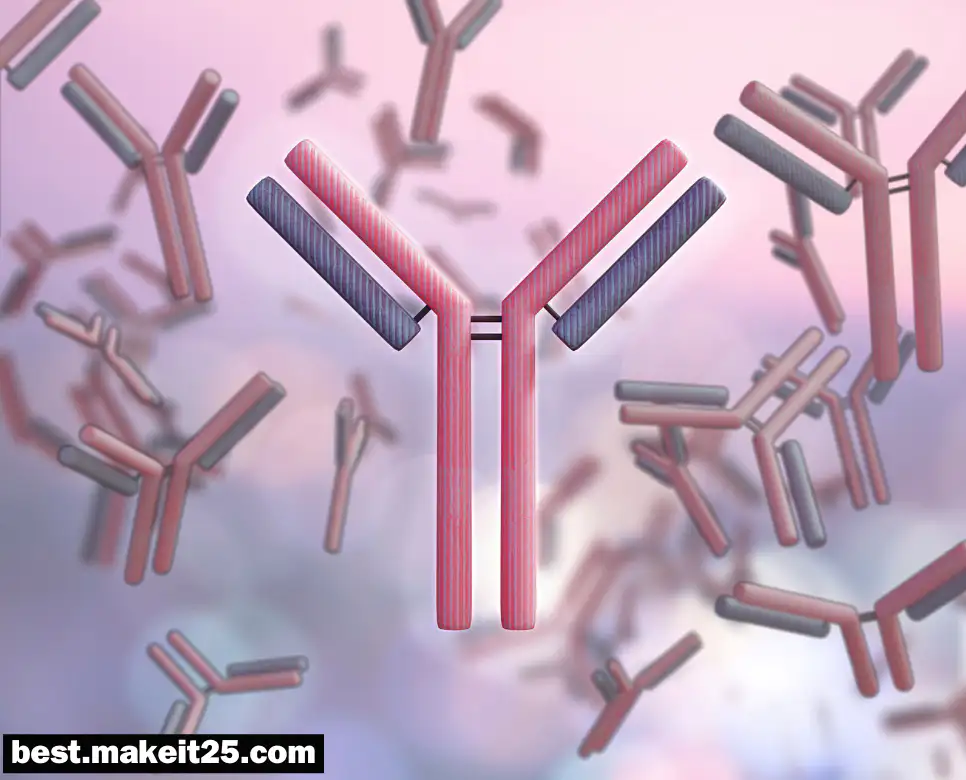 항체 뜻, 항원 뜻, 클론 뜻