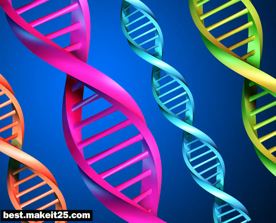 DNA 뜻, SaaS 뜻, CRM 뜻
