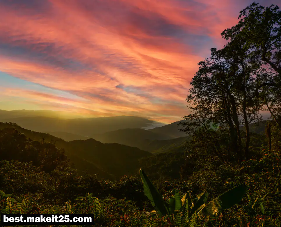 신의, 용기 뜻, 신뢰 뜻