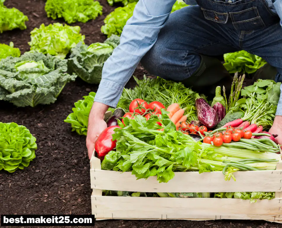 유기농(有機農)