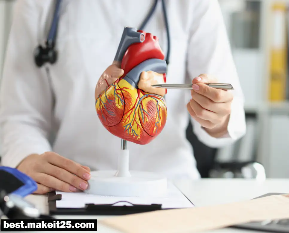 의학용어 LV, LAT, MDS, MDD