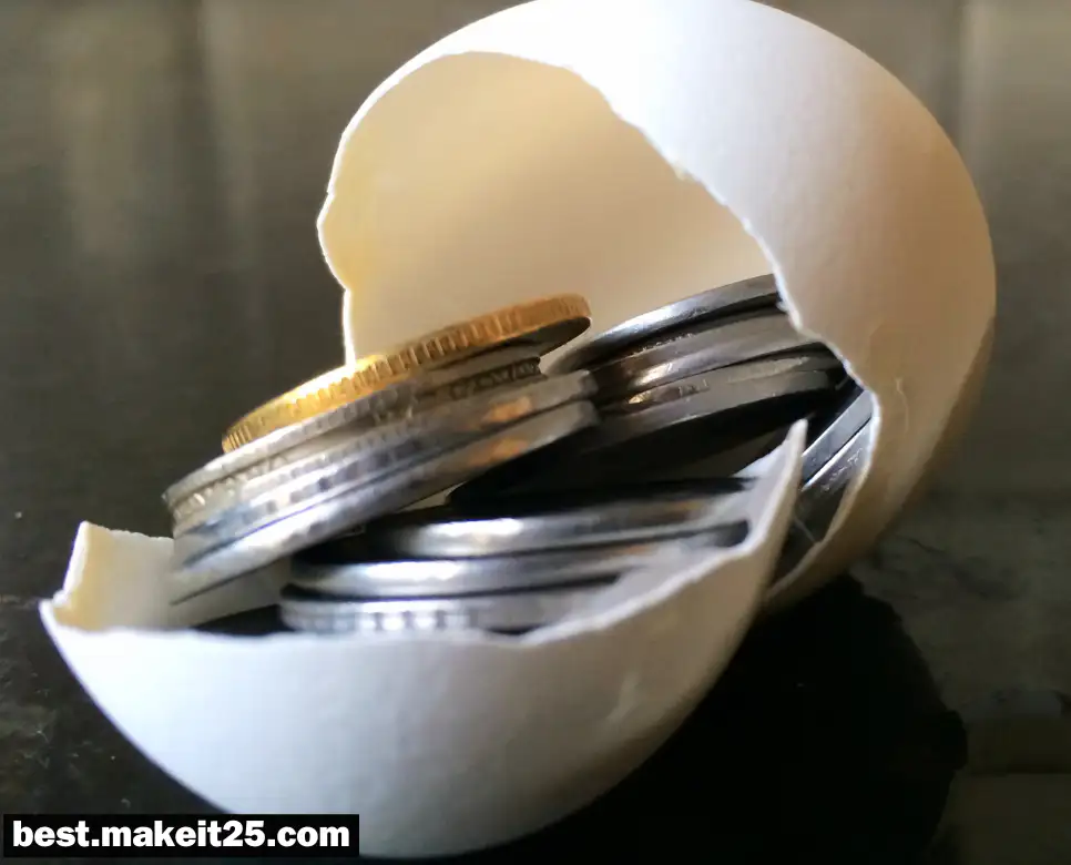 배당금(配當金)