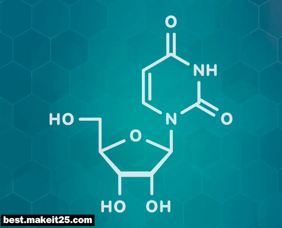 의학용어 PNP, PNS, TBC, CABG