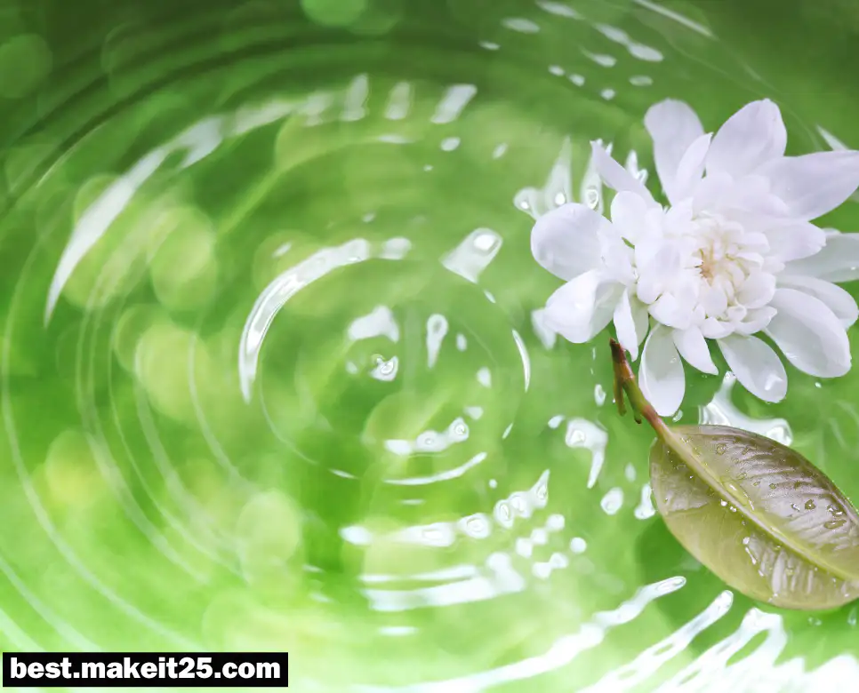 삼강오륜 뜻, 선도 뜻, 청렴 뜻