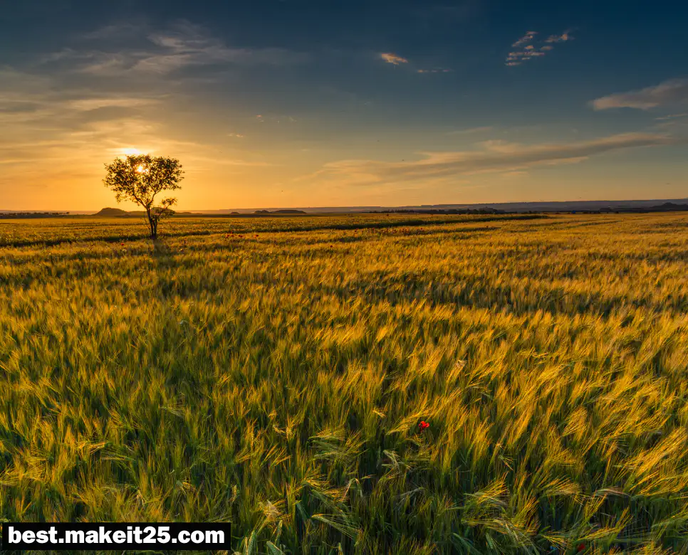 유교 뜻, 도교 뜻, 음양오행 뜻