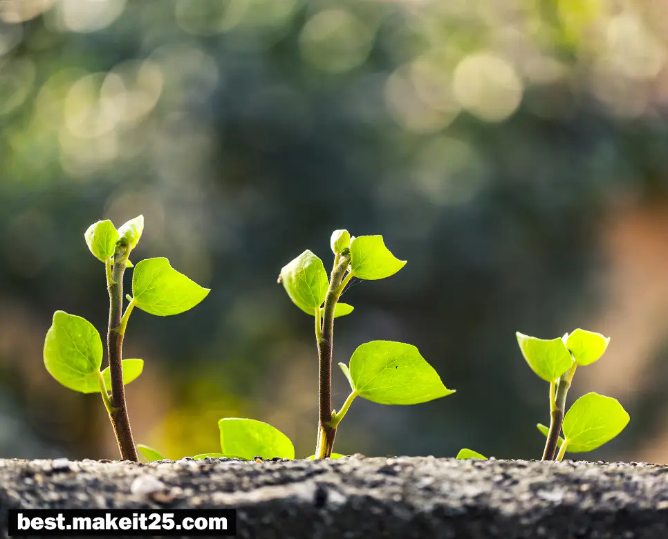 본성 뜻, 인격 뜻, 성정 뜻: 한 번에 파헤치기!