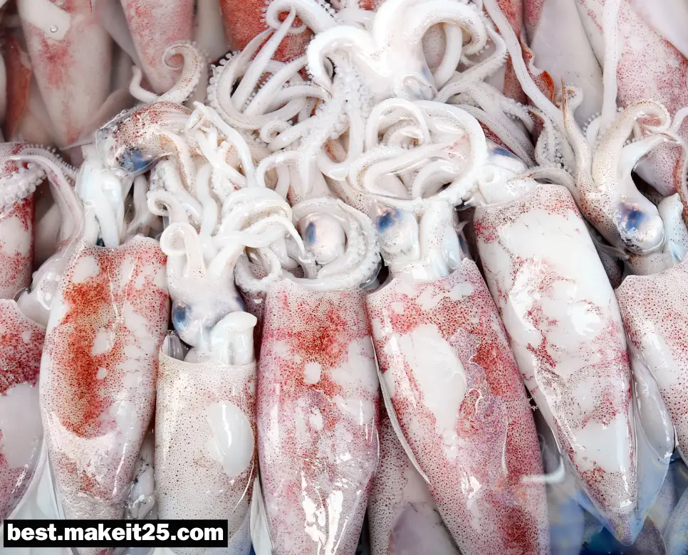 오징어 다리 몇개