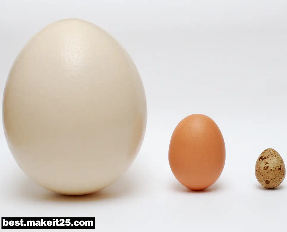 비교 뜻, 구조화 뜻, 체계화 뜻: 알고 있으면 유용한 용어!