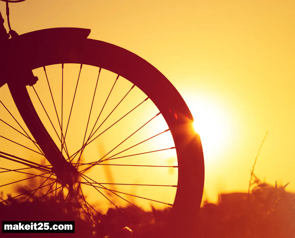 청설 뜻, 베놈 뜻, 아노락 뜻: 어렵지 않게 정리했어요!