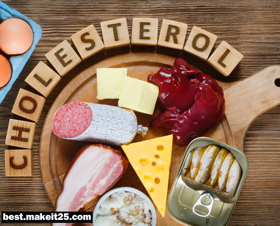 콜레스테롤 뜻, 체지방 뜻, 지방 뜻: 어렵지 않게 정리했어요!