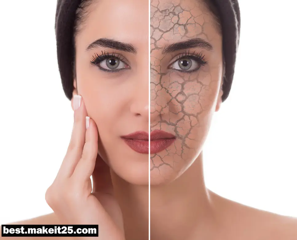 수부지 뜻, 복합성 뜻, 건성 뜻: 궁금증 해결!