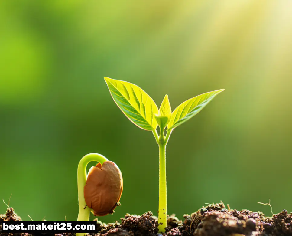 형성 뜻, 개발 뜻, 발전 뜻: 단어 속 깊은 뜻을 살펴보세요!