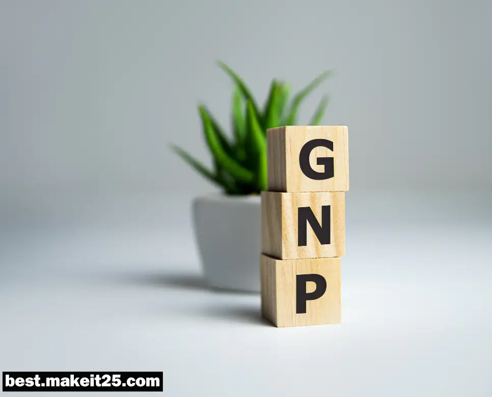 GNP