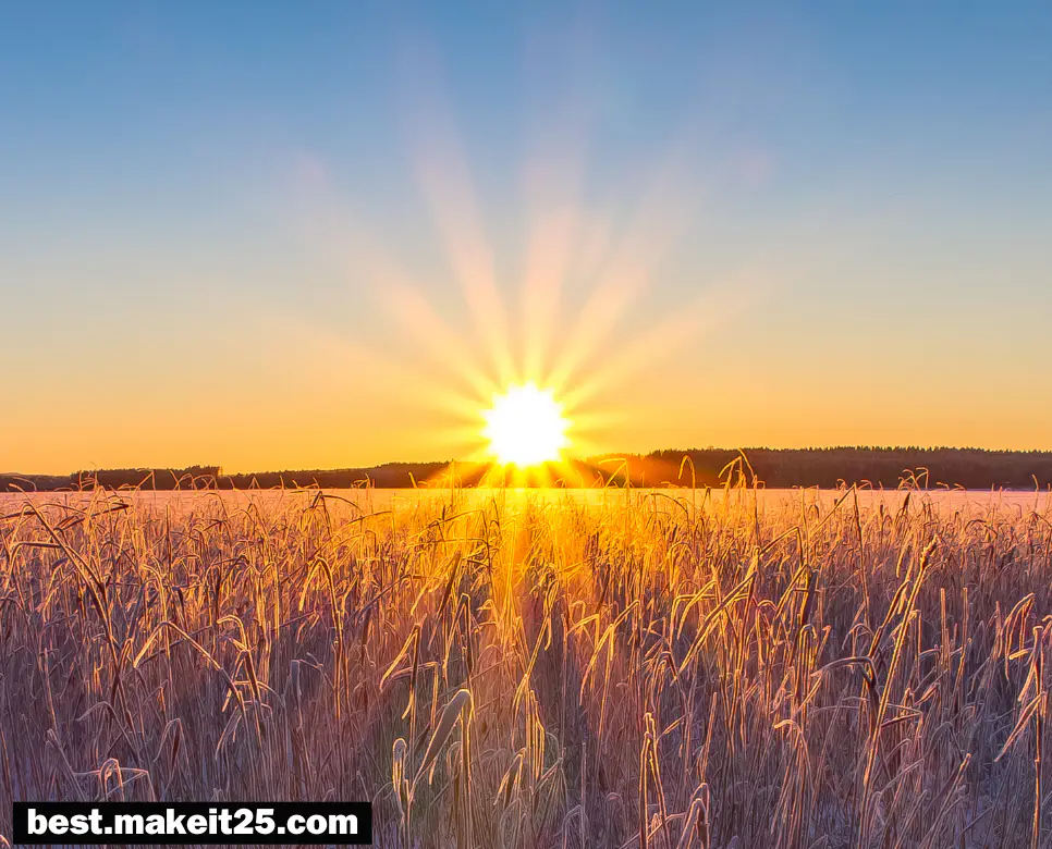 필연적 뜻, 우발적 뜻, 진보적 뜻: 지금 즉시 확인하세요!
