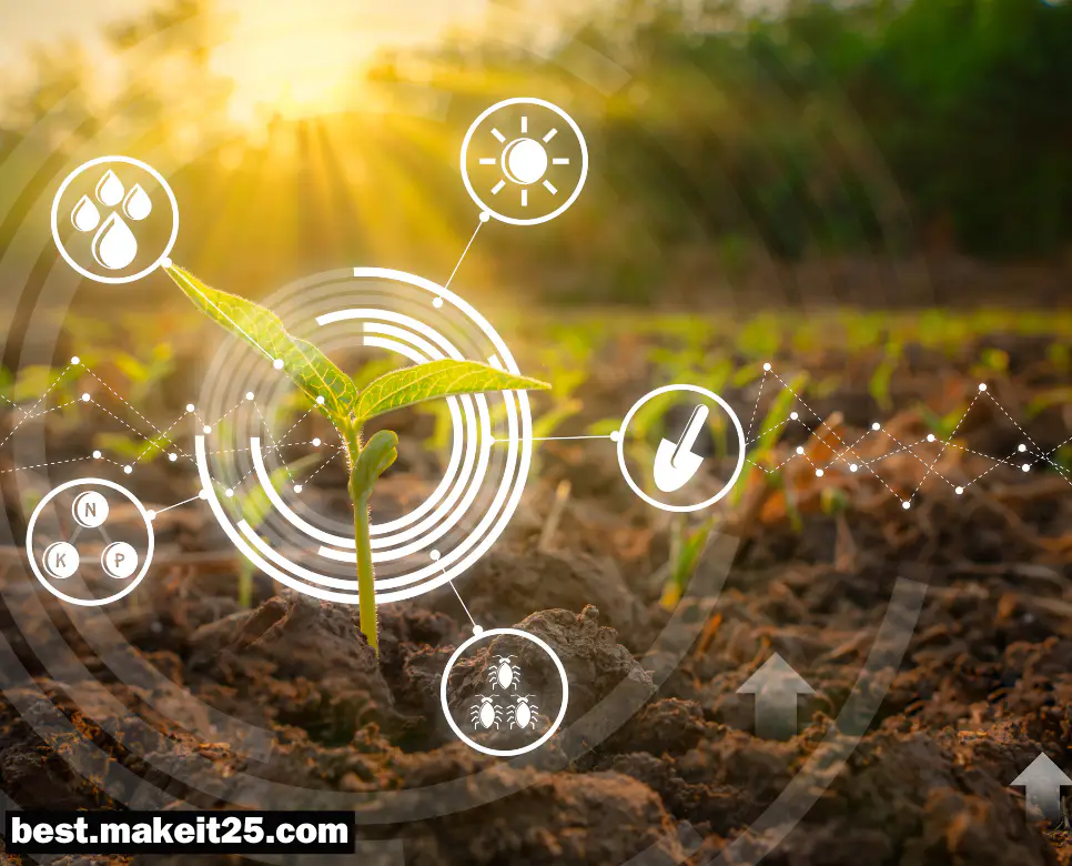 광합성 뜻, 생태계 뜻, 유기물 뜻: 지금 알아야 할 뜻!