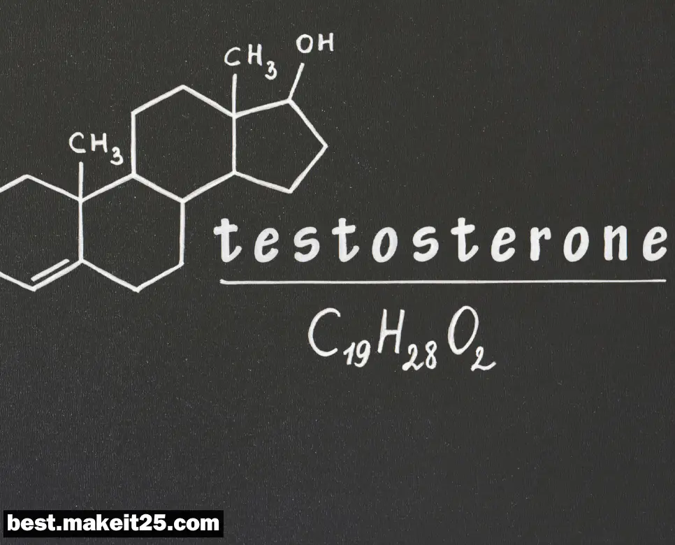 테스토스테론 뜻, 에스트로겐 뜻, 인슐린저항성 뜻: 궁금하다면 클릭하세요!