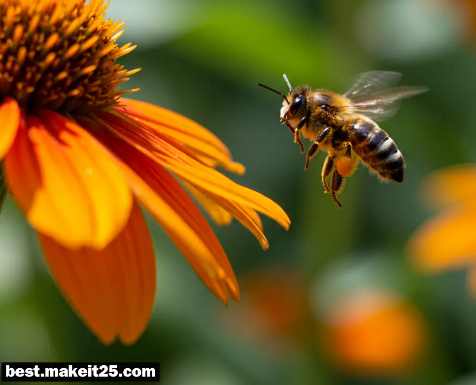 꿈해몽: 벌 꿈, 두더지 꿈, 나비 꿈