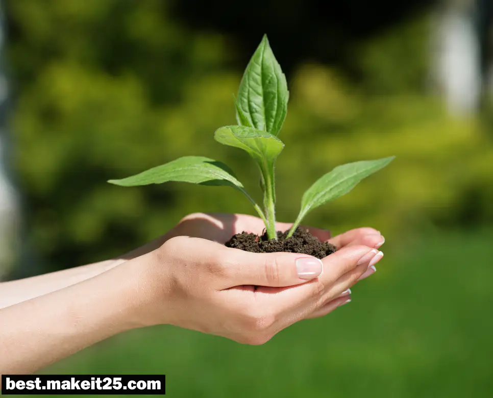 꿈해몽: 식물 꿈, 아나콘다 꿈, 젓가락 꿈