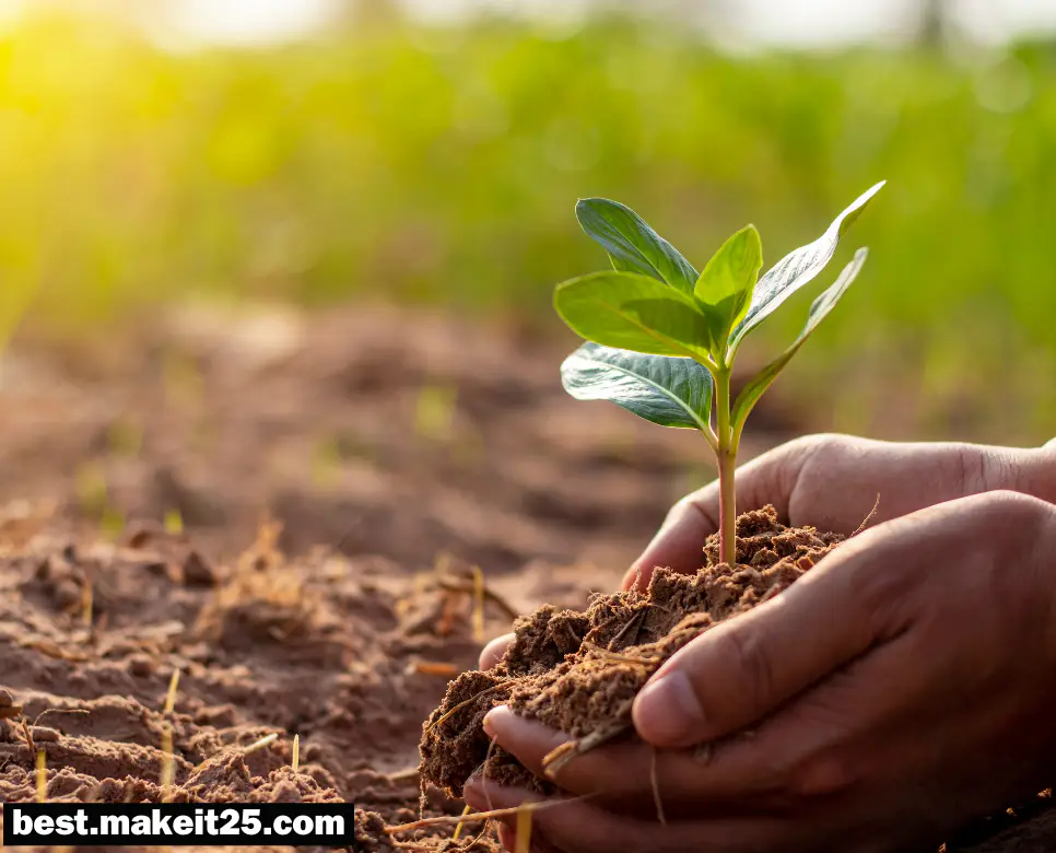 식물이 무성하게 자라는 꿈은 어떤 의미인가요?