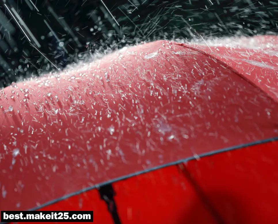 꿈해몽: 비가 오는 꿈, 낙타 꿈, 잉어 꿈