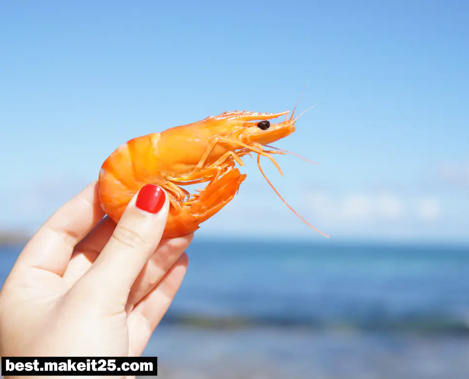 꿈해몽: 새우 꿈, 가재 꿈, 고등어 꿈