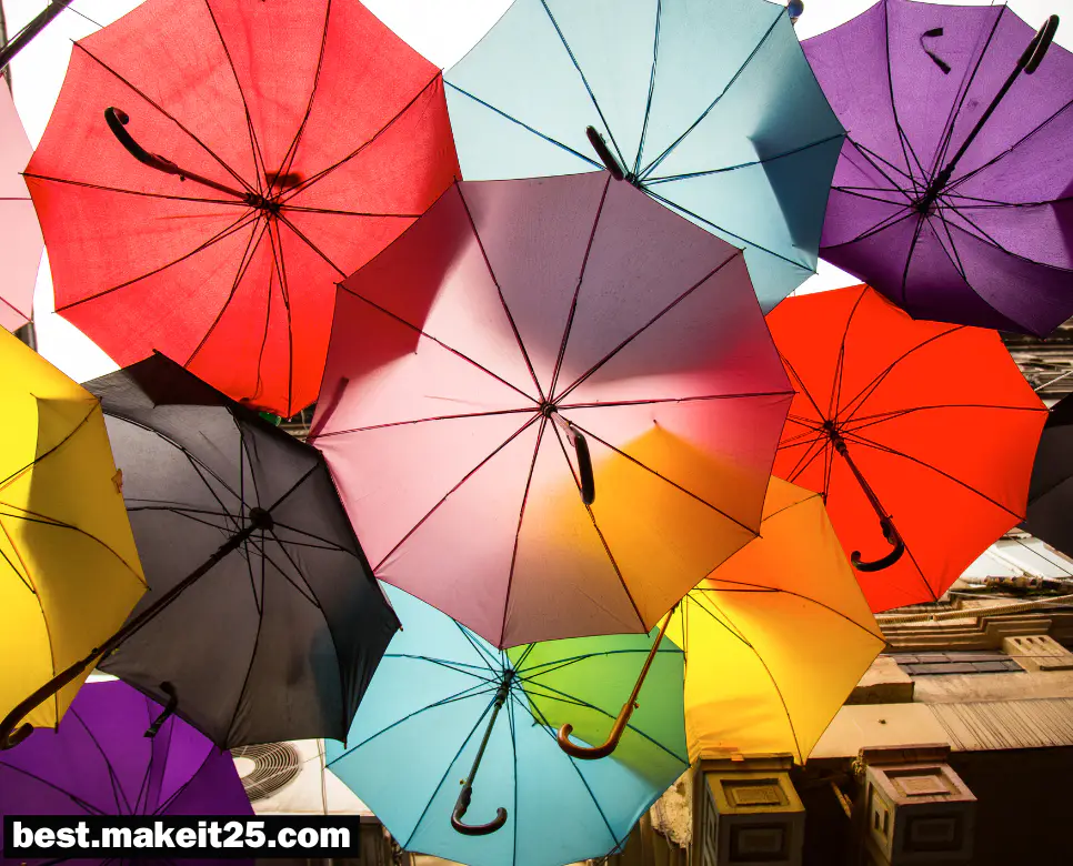 꿈해몽: 우산 꿈, 화분 꿈, 거위 꿈