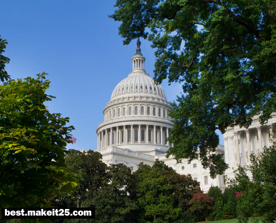 미국 대통령 임기
